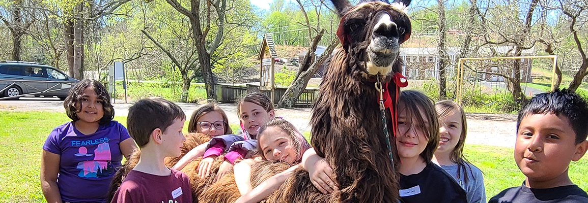 Students with alpaca